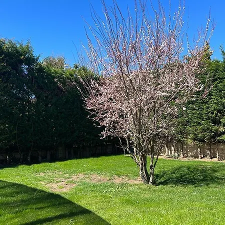 Hébergement de vacances Tomillares *